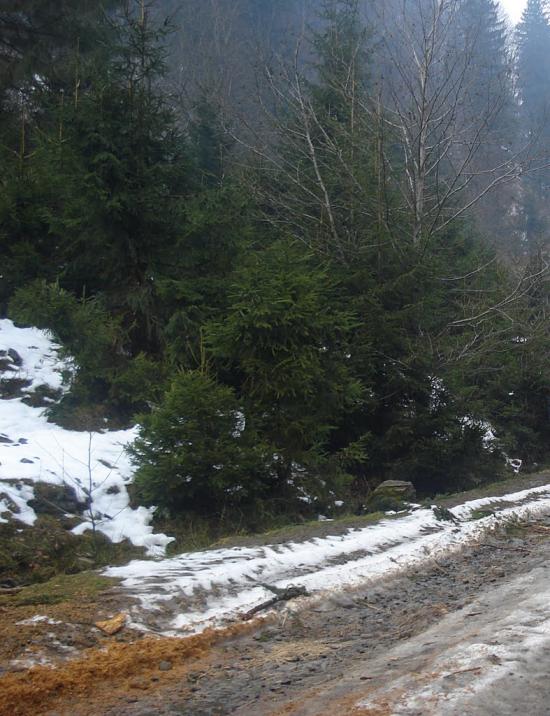 Руська Мокра з panoramio.com - Русская Мокрая