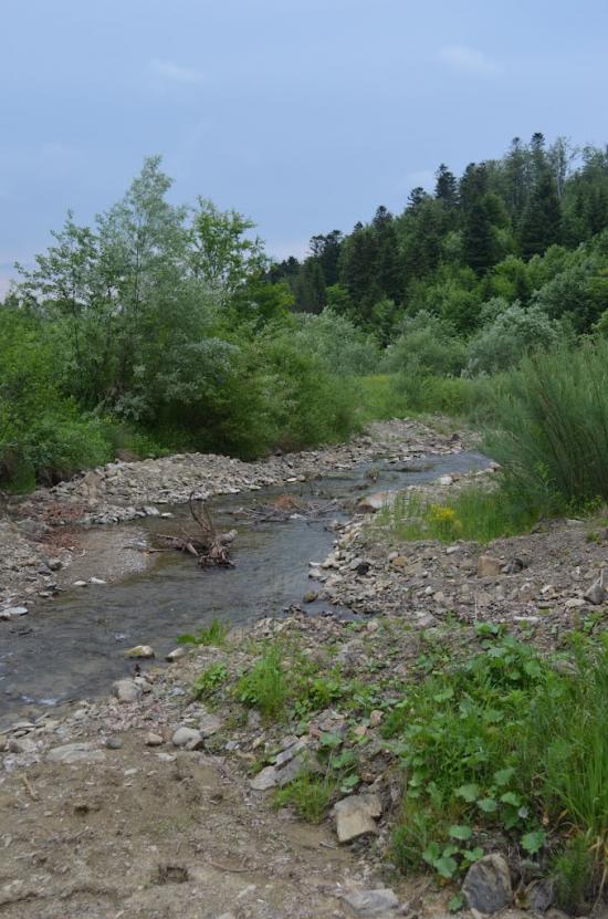 Крушельниця з panoramio.com - Крушельница