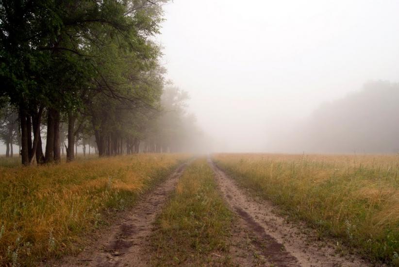 Слов'яносербськ з panoramio.com - Славяносербск