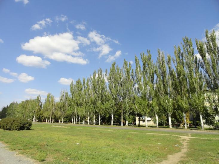 Широка Дача з panoramio.com - Широкая Дача