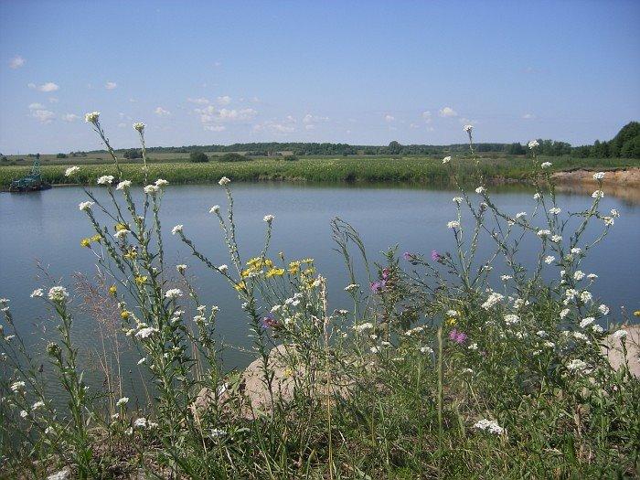 Бездрик з panoramio.com - Бездрик