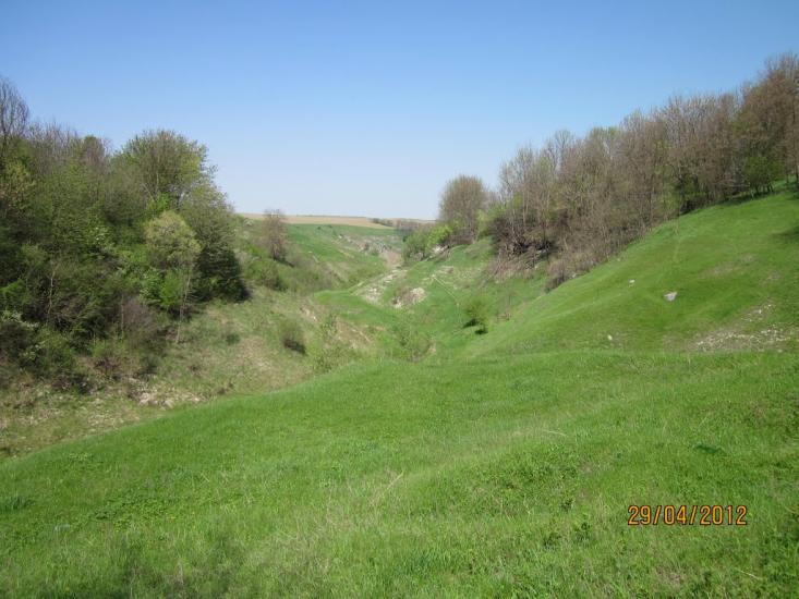 Бабин з panoramio.com - Бабин