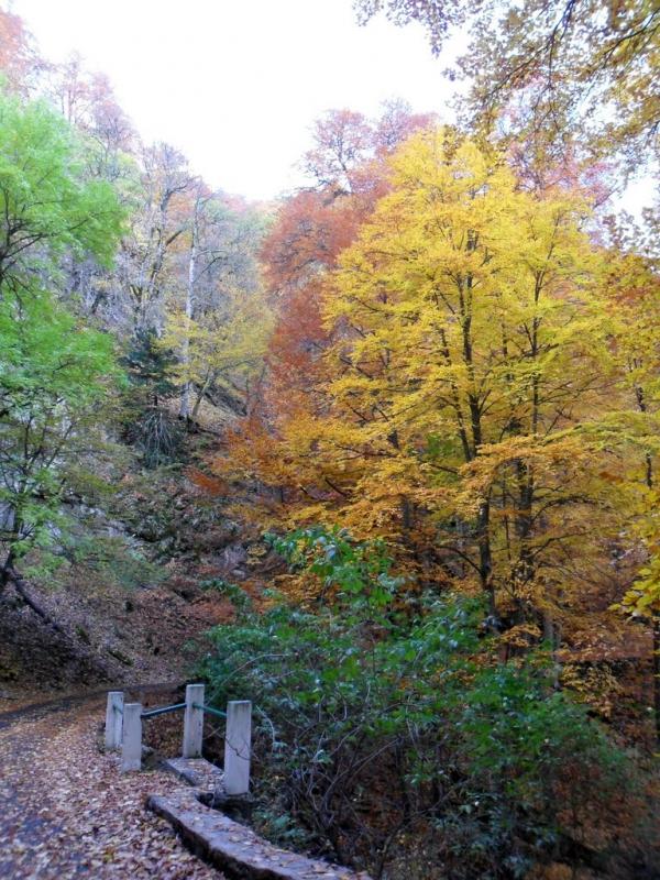 Підгородне з panoramio.com - Подгороднее