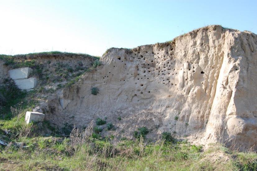 Рожище з panoramio.com - Рожище