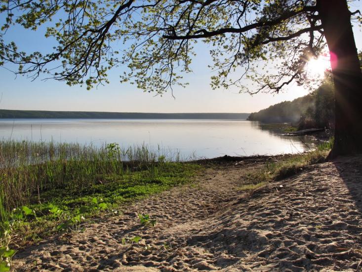 Мартове з panoramio.com - Мартово