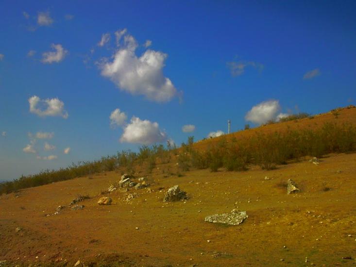 Рєпіне з panoramio.com - Рєпіне
