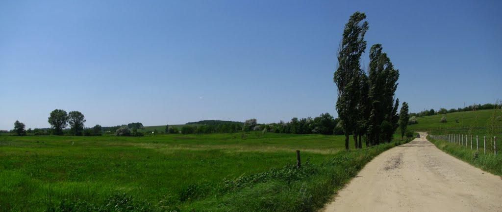 Циркуни з panoramio.com - Циркуни