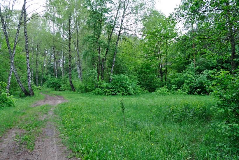Капітанівка з panoramio.com - Капитановка