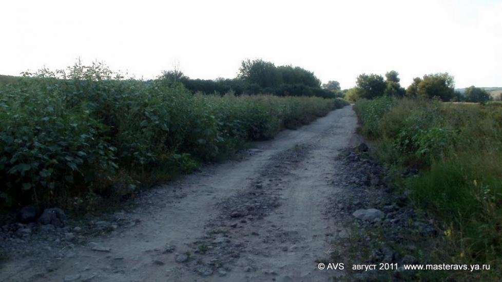 Першомар'ївка з panoramio.com - Першомарьевка