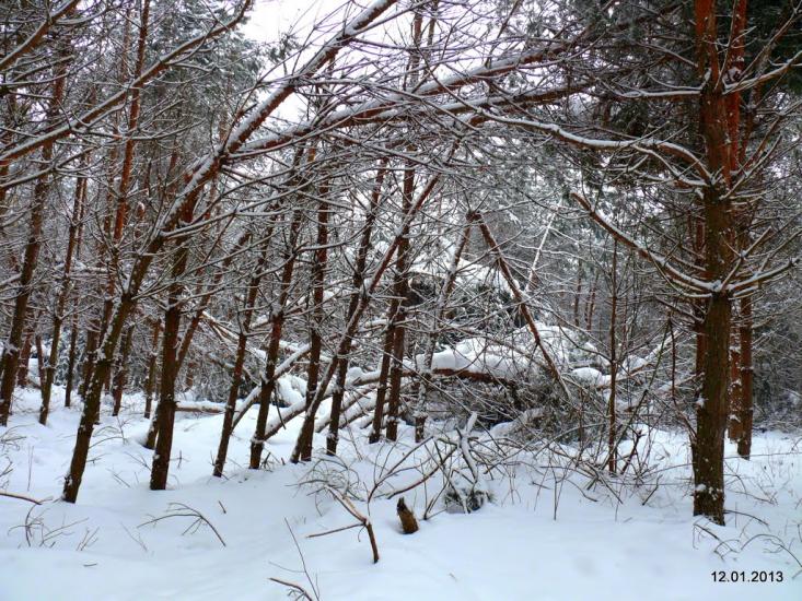 Забір'я з panoramio.com - Zabirya