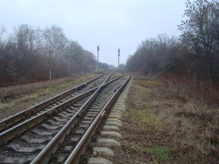 Воронківці з panoramio.com - Воронковцы