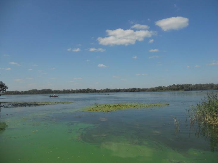 Карнаухівка з panoramio.com - Karnaukhivka