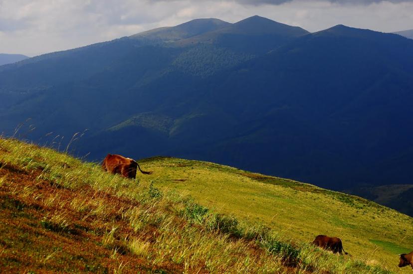 Буковець з panoramio.com - Буковец