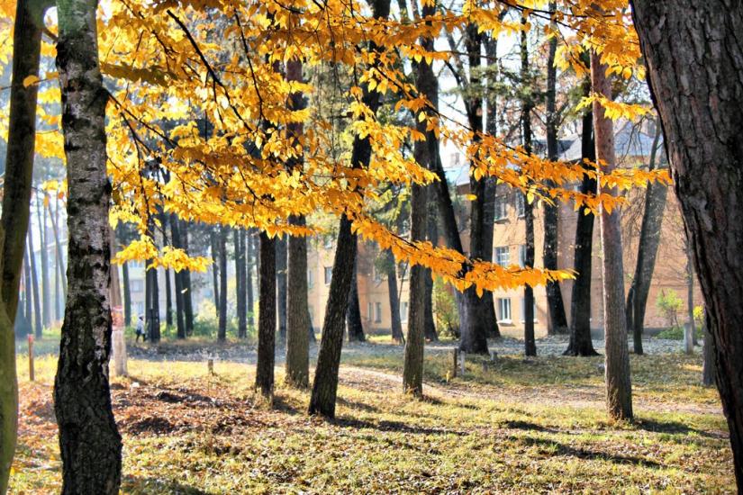Озерне з panoramio.com - Озерне