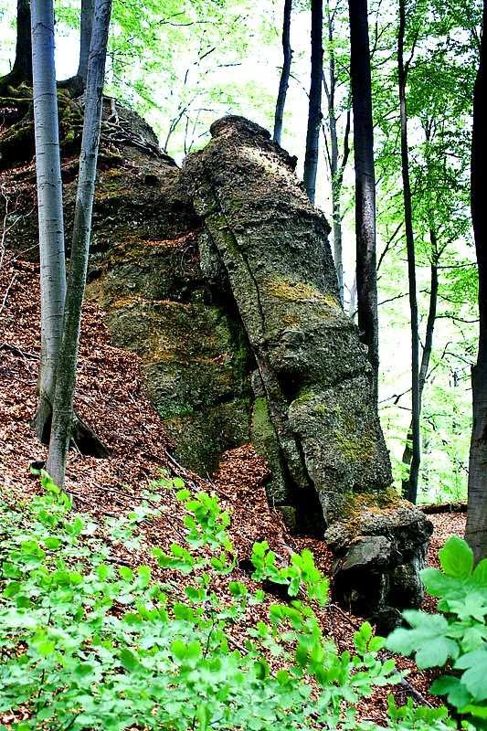 Ворочово з panoramio.com - Ворочево