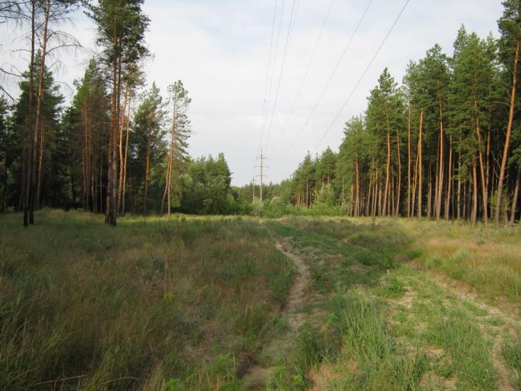 Щастя з panoramio.com - Счастье
