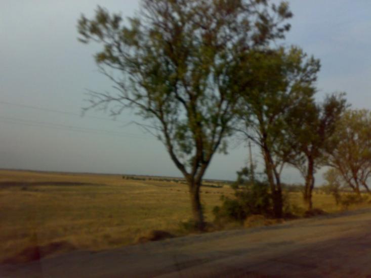 Берегове з panoramio.com - Берегово