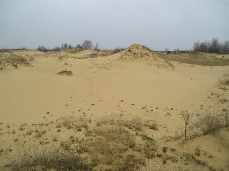 Пролетарка з panoramio.com - Пролетарка