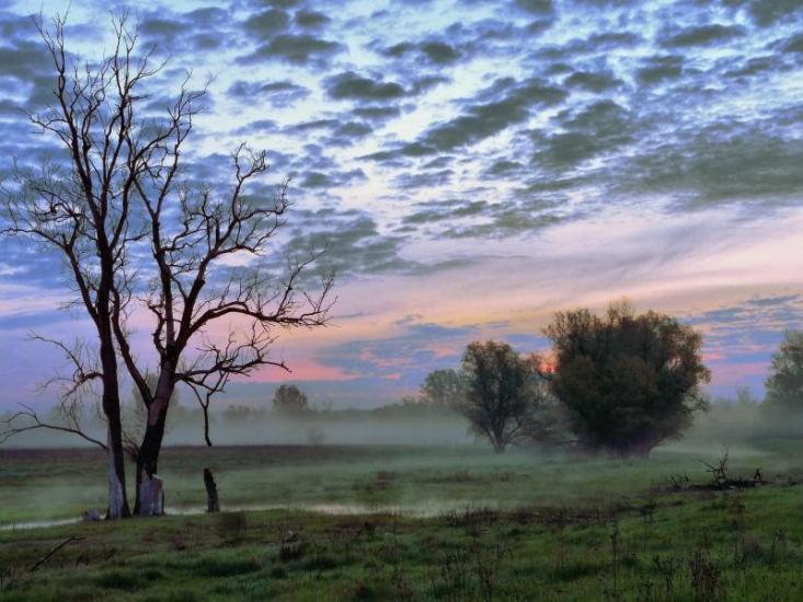 Слов'яносербськ з panoramio.com - Славяносербск