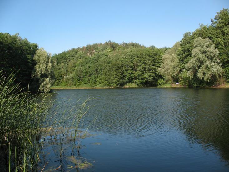 Халеп'я з panoramio.com - Халепье