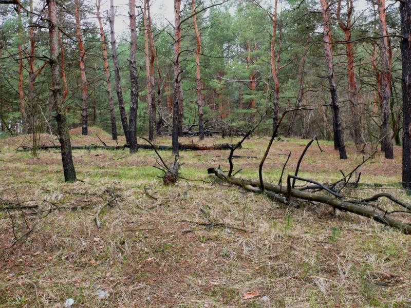 Горянівське з panoramio.com - Горянівське