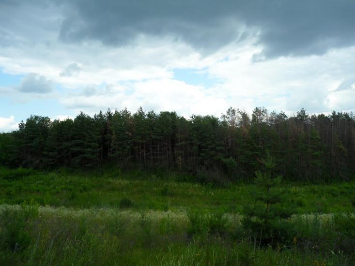 Новофастів з panoramio.com - Новофастів