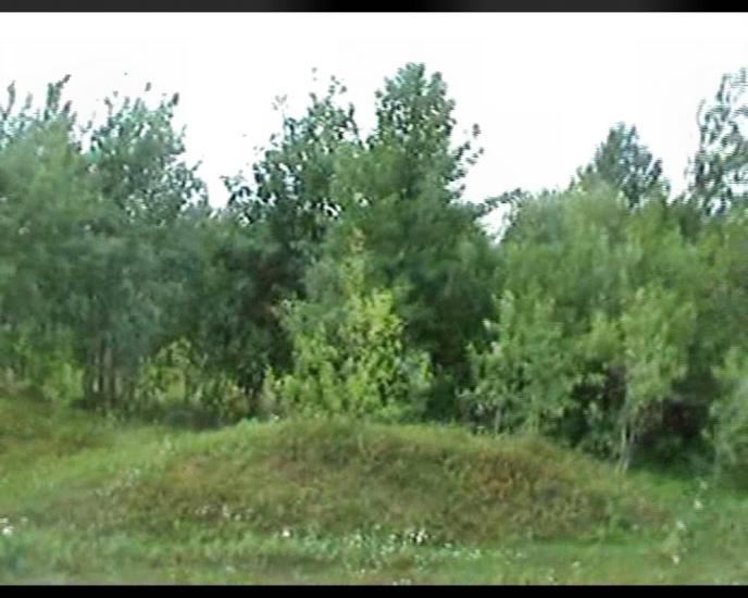 Сошники з panoramio.com - Сошники