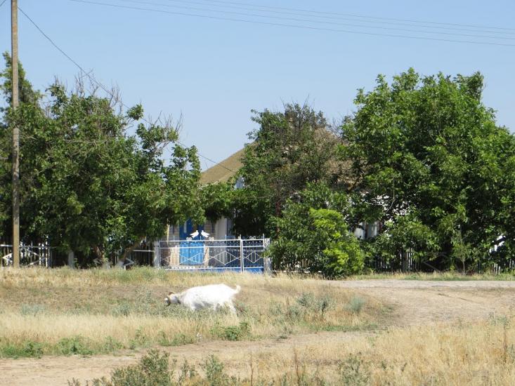 Стокопані з panoramio.com - Стокопани