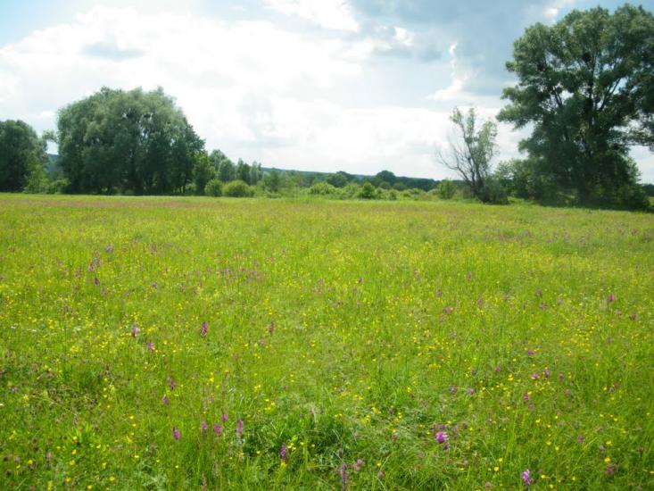 Ярова з panoramio.com - Ярова