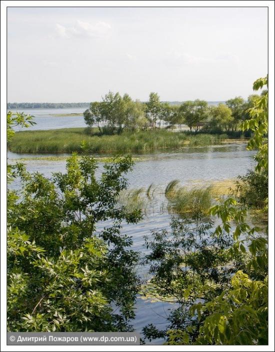 Сенькове з panoramio.com - Сеньково