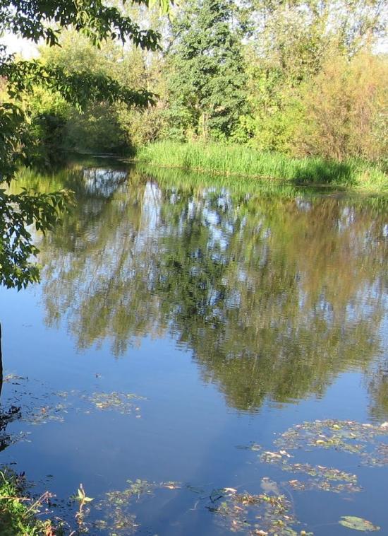 Могилівка з panoramio.com - Могилевка