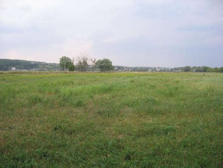 Хорошеве з panoramio.com - Хорошево