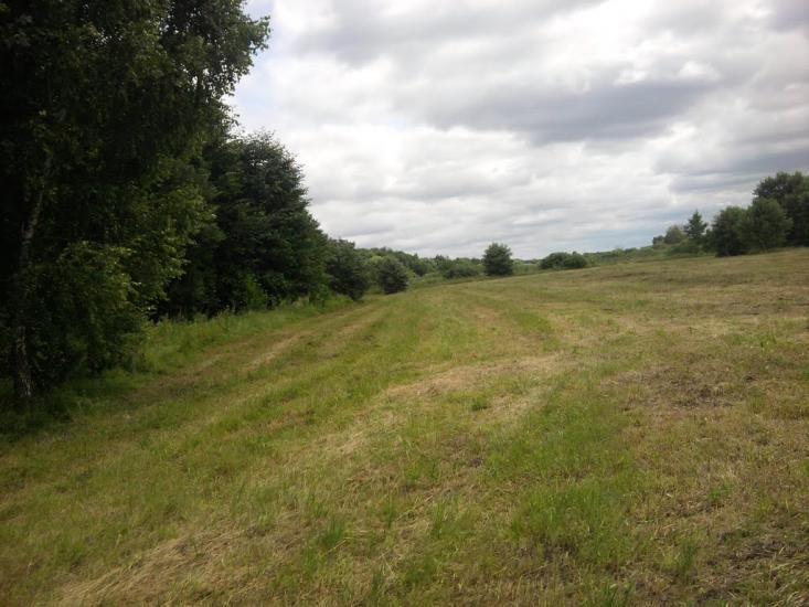 Терехівка з panoramio.com - Терехівка