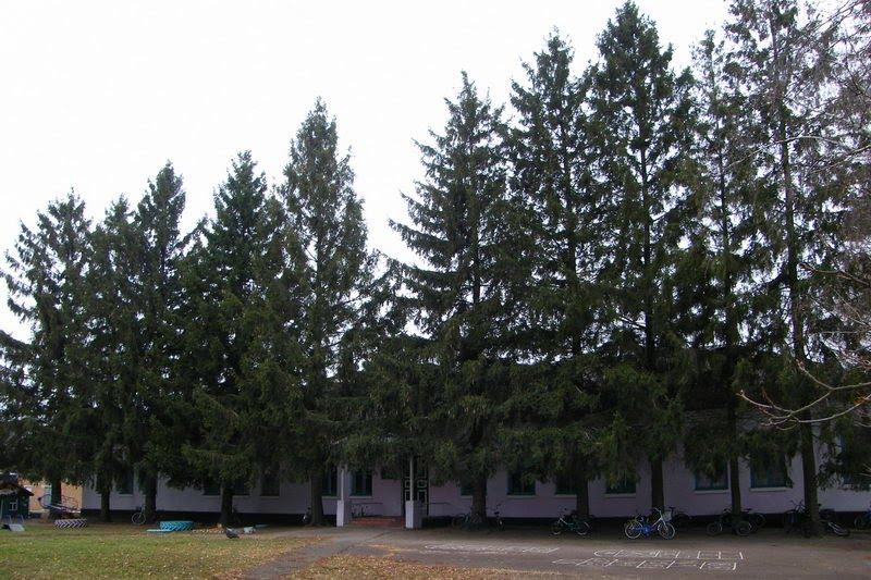 Ковчин з panoramio.com - Ковчин