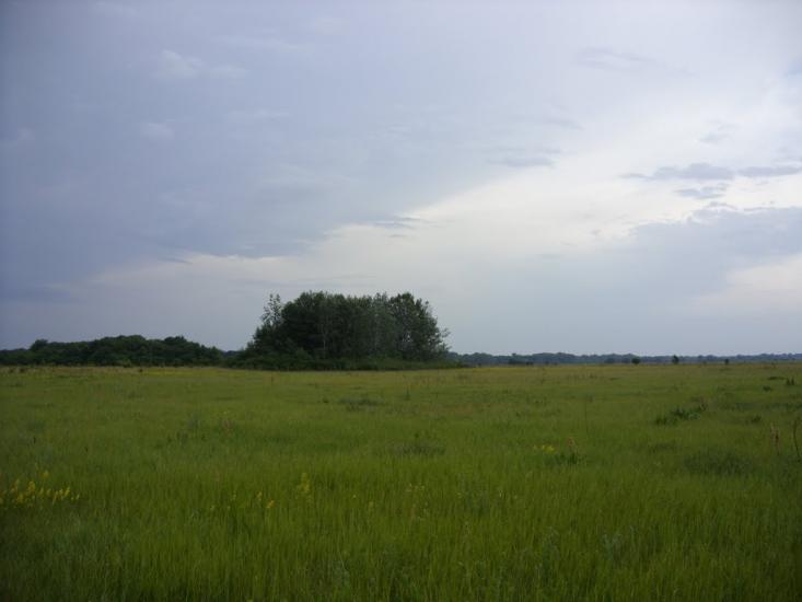 Заможнє з panoramio.com - Заможнє