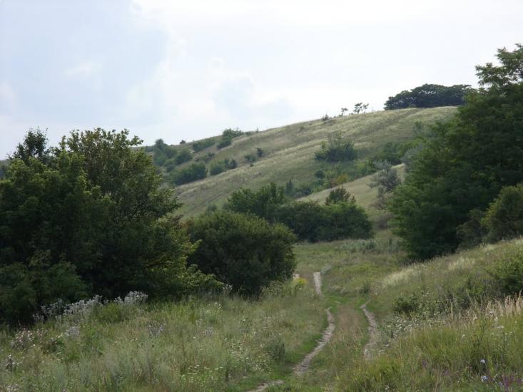 Юрки з panoramio.com - Юрки