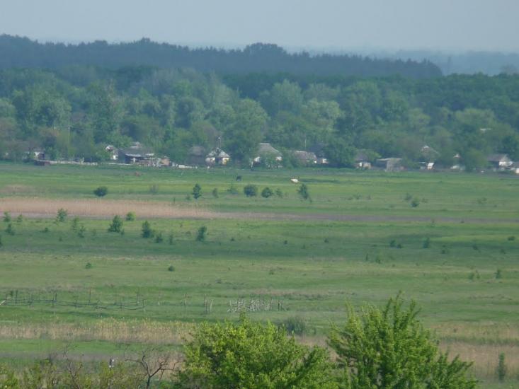 Коновалівка з panoramio.com - Коновалівка