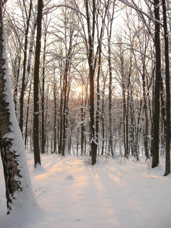 Хмільник з panoramio.com - Хмельник