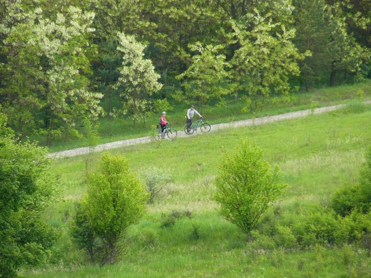Українське з panoramio.com - Украинское