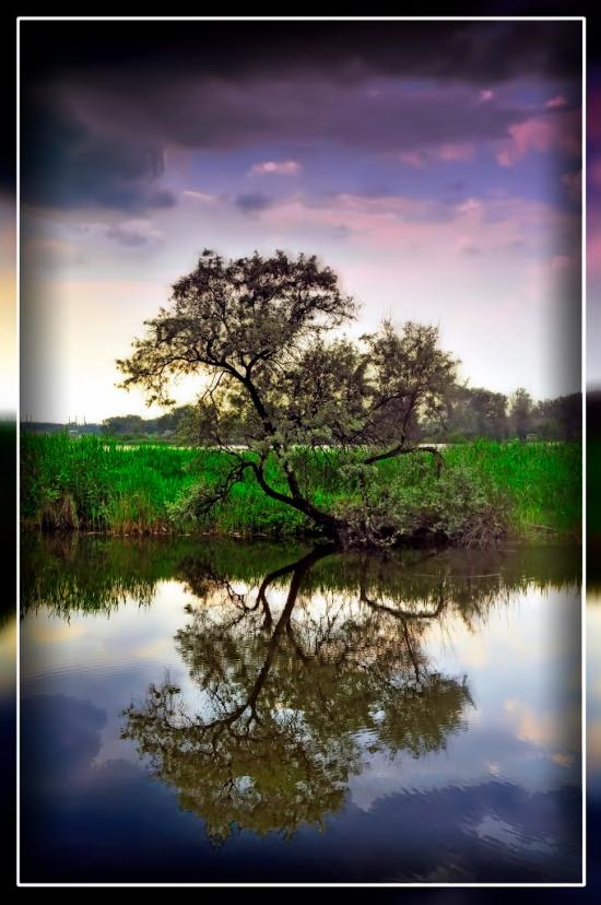 Олександрівка з panoramio.com - Олександрівка