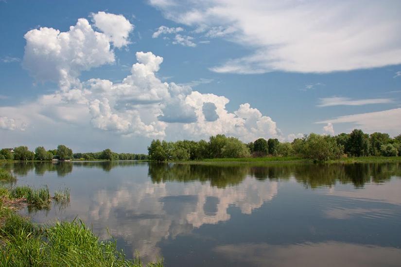 Кривуші з panoramio.com - Кривуші