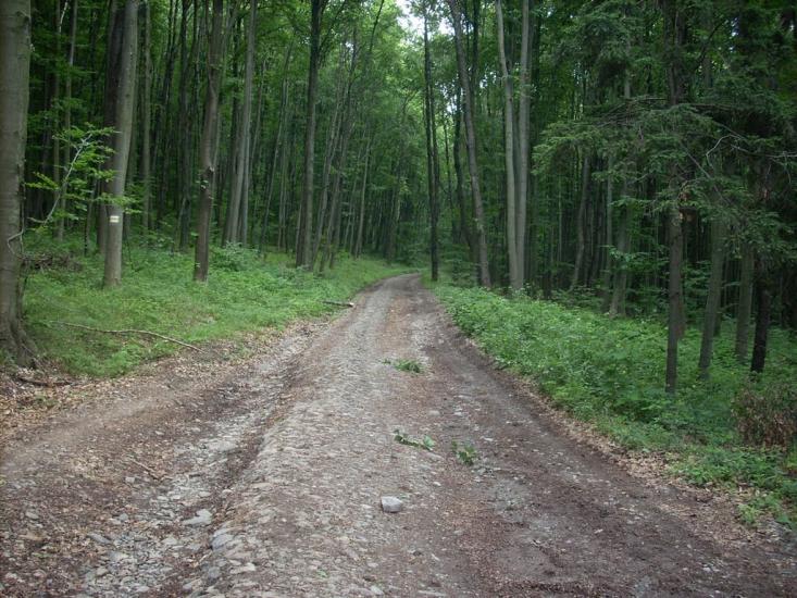 Кам'яниця з panoramio.com - Кам'яниця