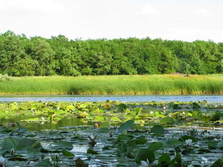 Усть-Лип'янка з panoramio.com - Усть-Лип'янка