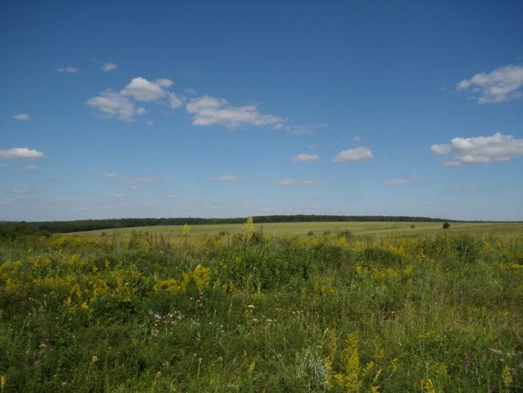 Питомник з panoramio.com - Питомник