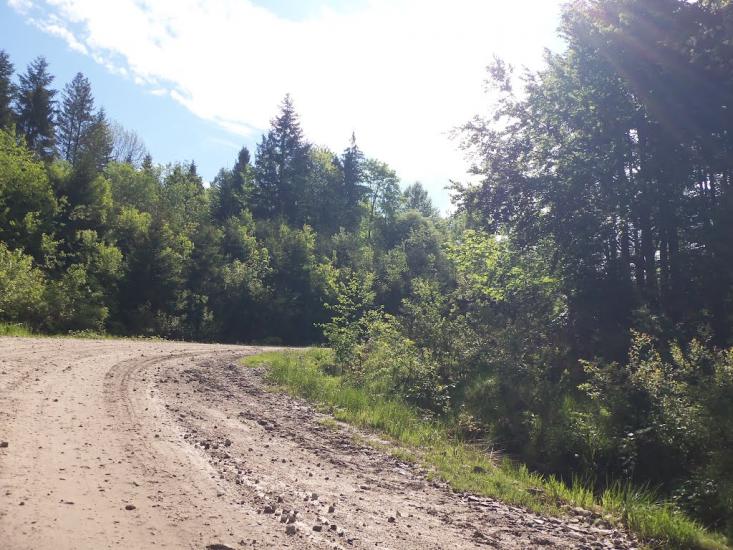 Підліски з panoramio.com - Подлески