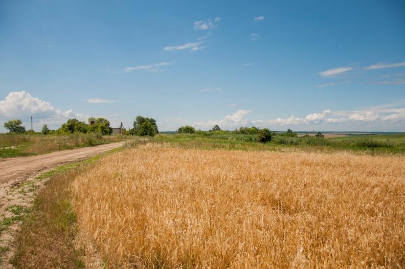 Великий Карабчіїв з panoramio.com - Великий Карабчіїв