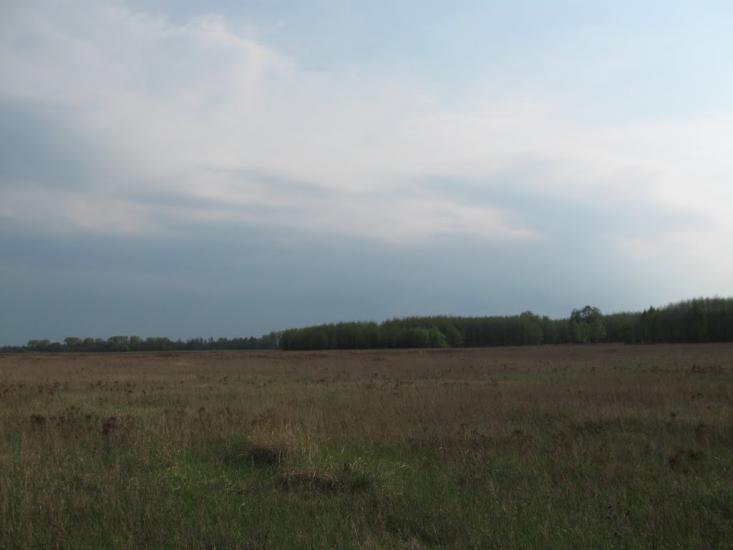 Ясногородка з panoramio.com - Ясногородка