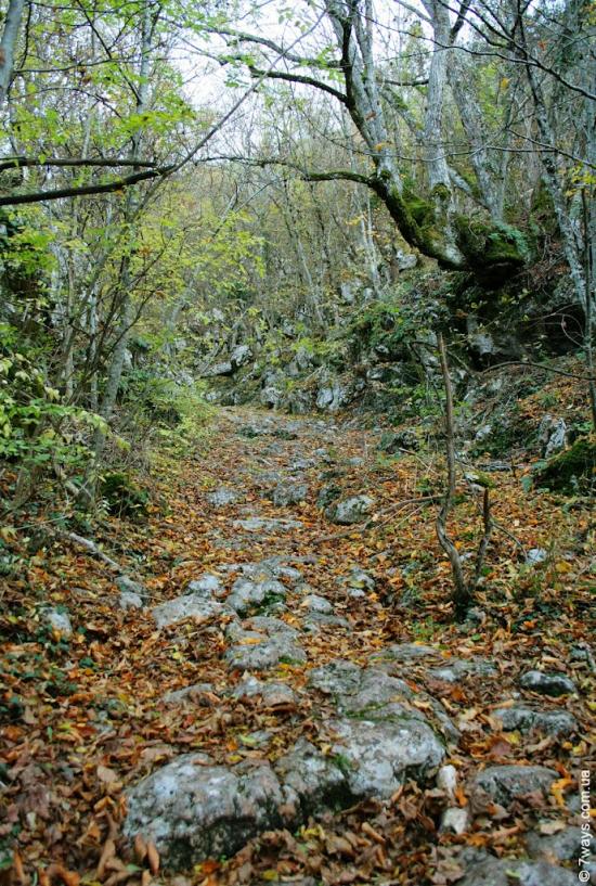 Колхозне з panoramio.com - Колхозное