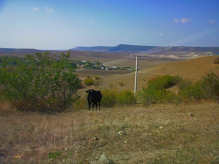 Поштове з panoramio.com - Почтовое