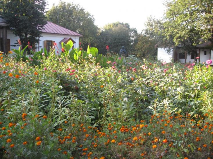 Гоголеве з panoramio.com - Гоголево